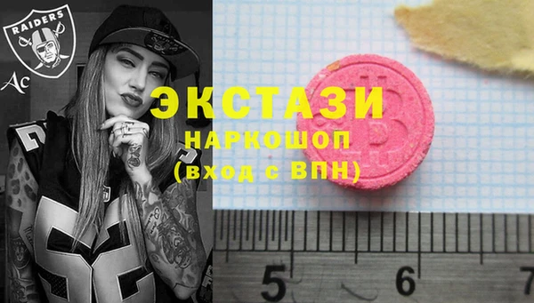 сатива Новокубанск
