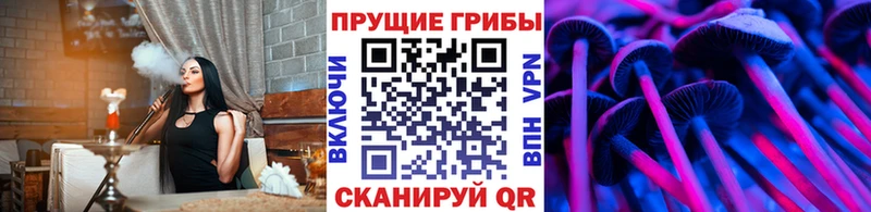 Псилоцибиновые грибы прущие грибы  Барнаул 